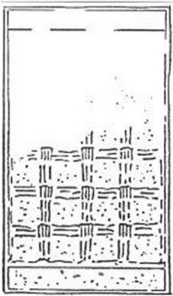 Crosscheck