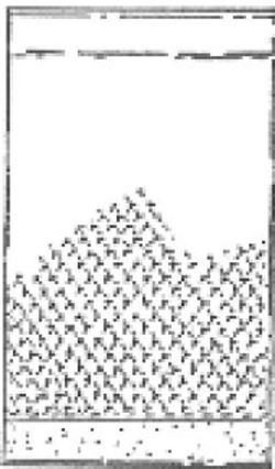 Lattace